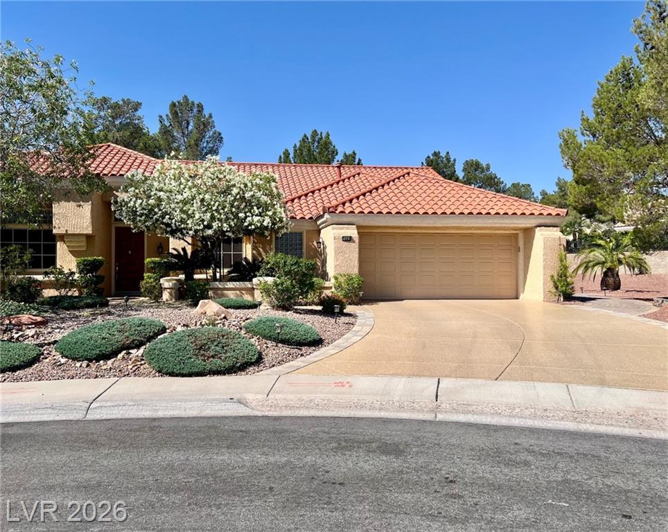 9049 Firebird Drive, Las Vegas, NV 89134 — photo 1
