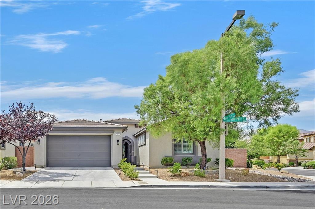 913 Hickory Park Street, Las Vegas, NV 89138 — photo 1