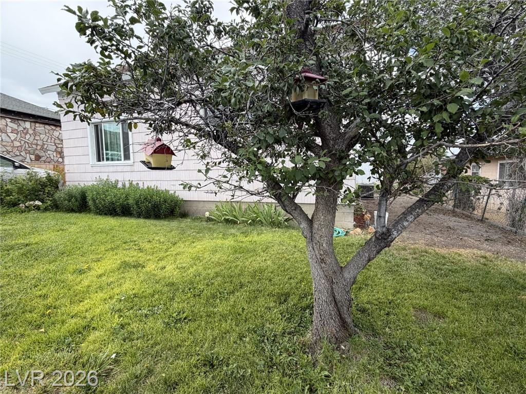 29 Avenue D, McGill, NV 89318 — photo 1