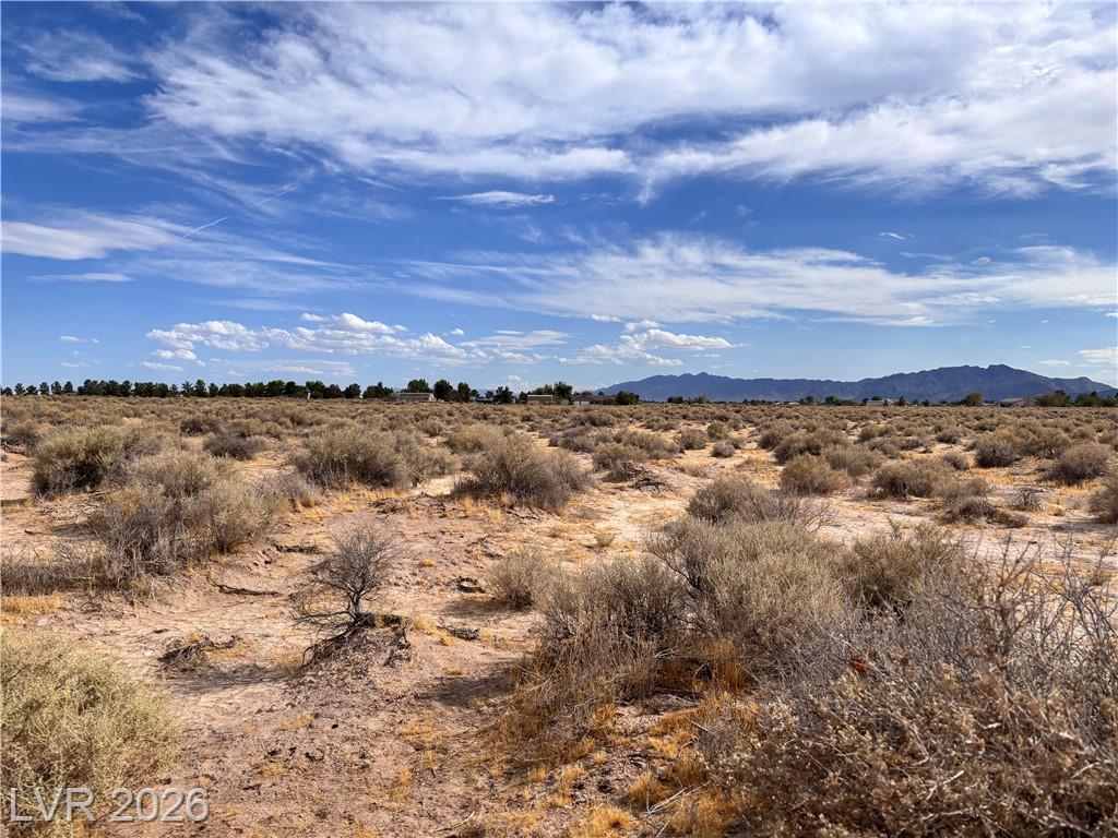 1311 West Nye Road, Pahrump, NV 89060 — photo 1