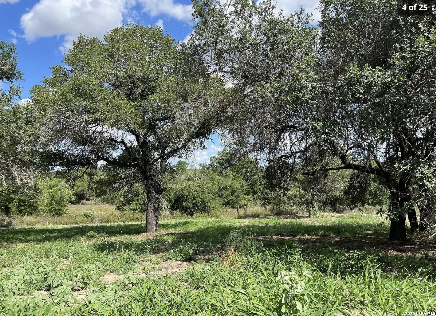 497 County Road 124