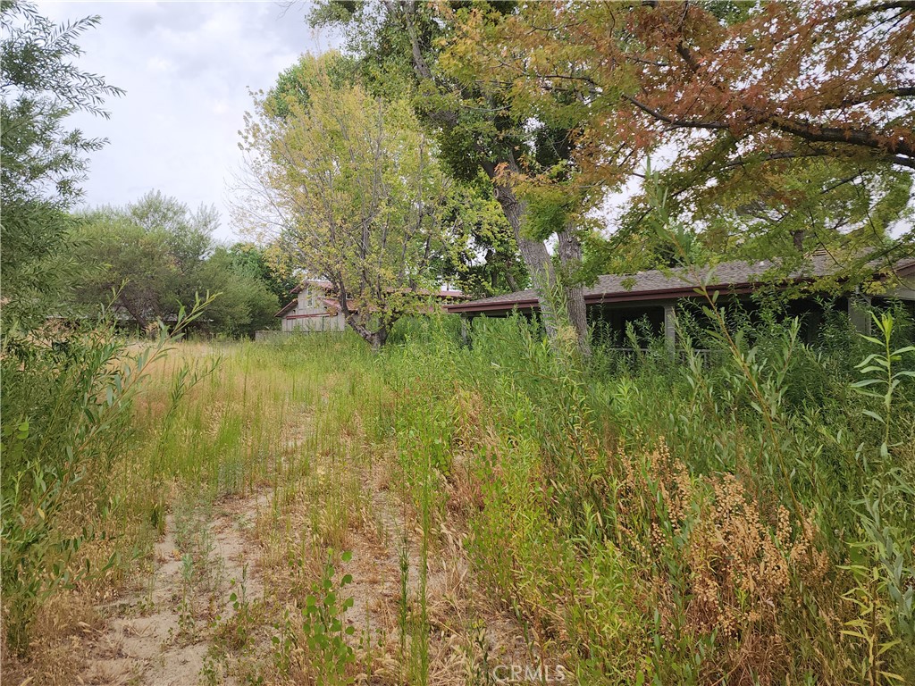 43717 Lake Hughes Road