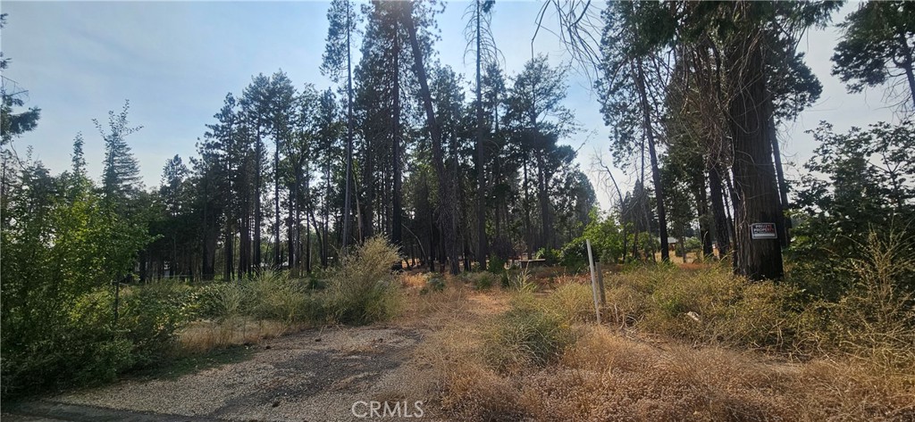 13901 W Park, Magalia, CA 95954 — photo 1