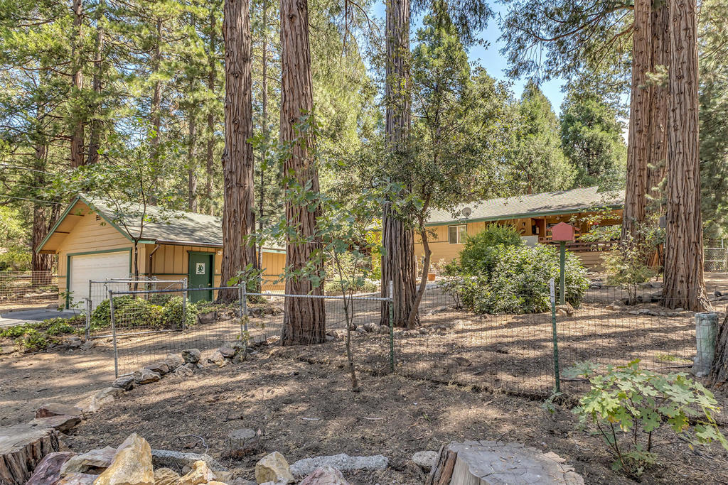 54191 S Circle Drive, Idyllwild, CA 92549 — photo 1