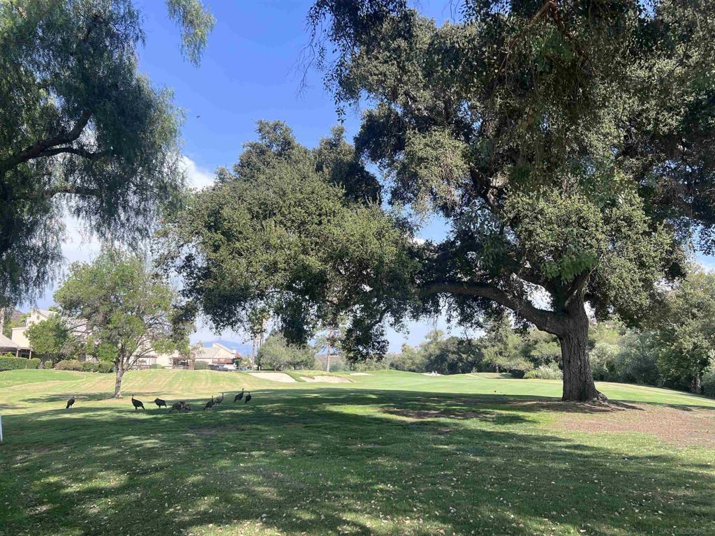 23621 Country Villa Rd, Ramona, CA 92065 — photo 1