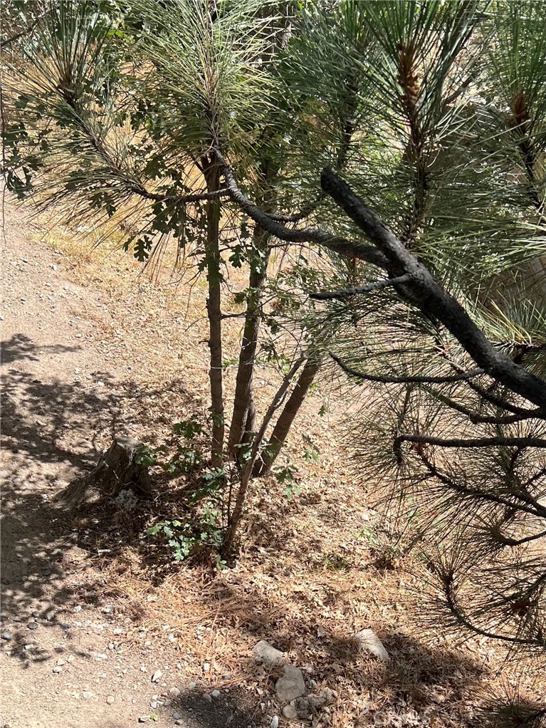 0 Robin, Arrowbear, CA 92382 — photo 1