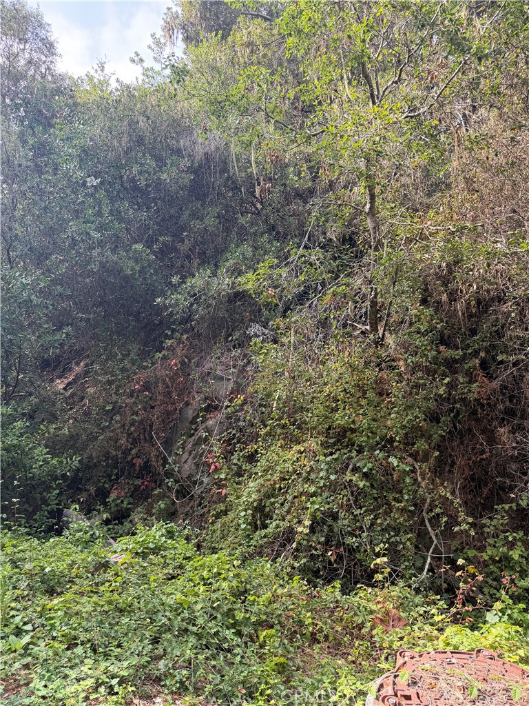 0 Sheffield Street, Cambria, CA 93428 — photo 1