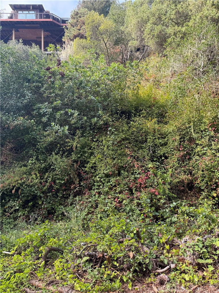 0 Sheffield, Cambria, CA 93428 — photo 1