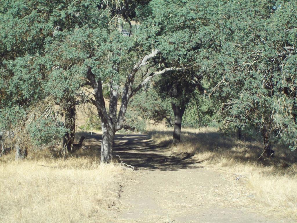 20077 Panoche, Tres Pinos, CA 95075 — photo 1