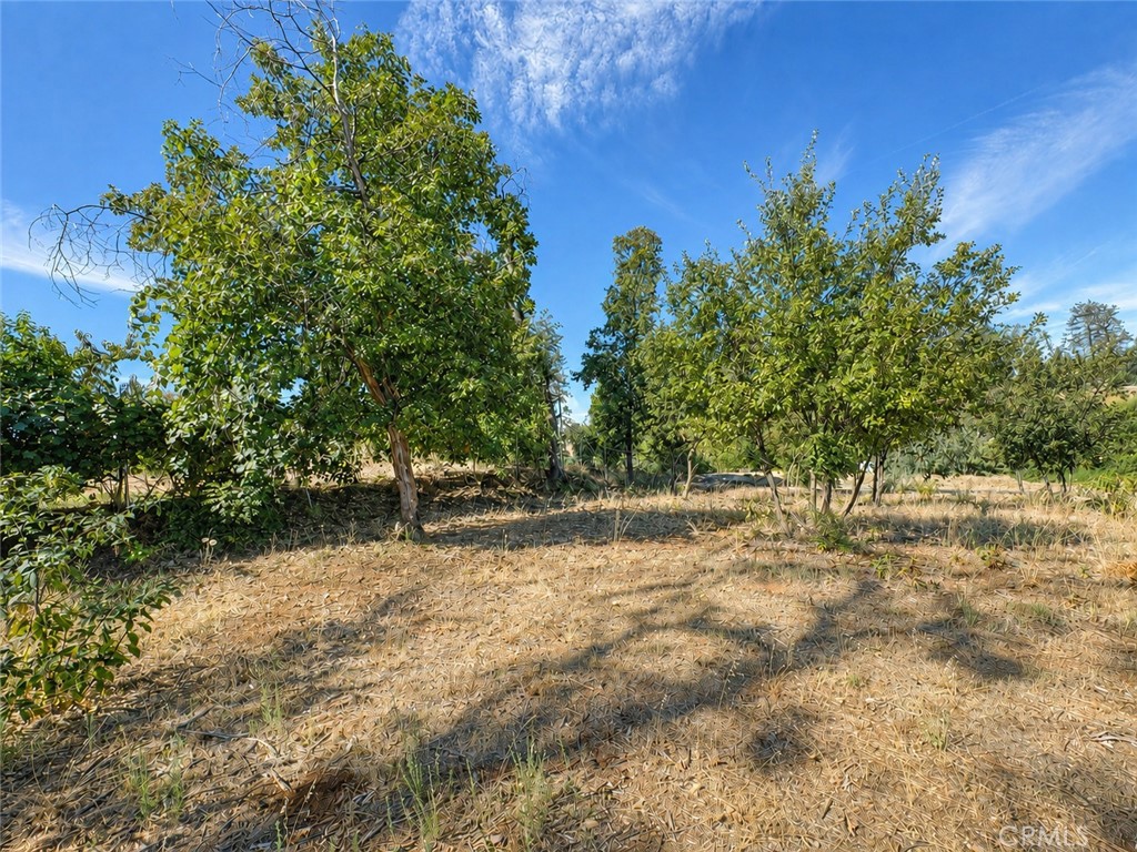 5465 Foster, Paradise, CA 95969 — photo 1