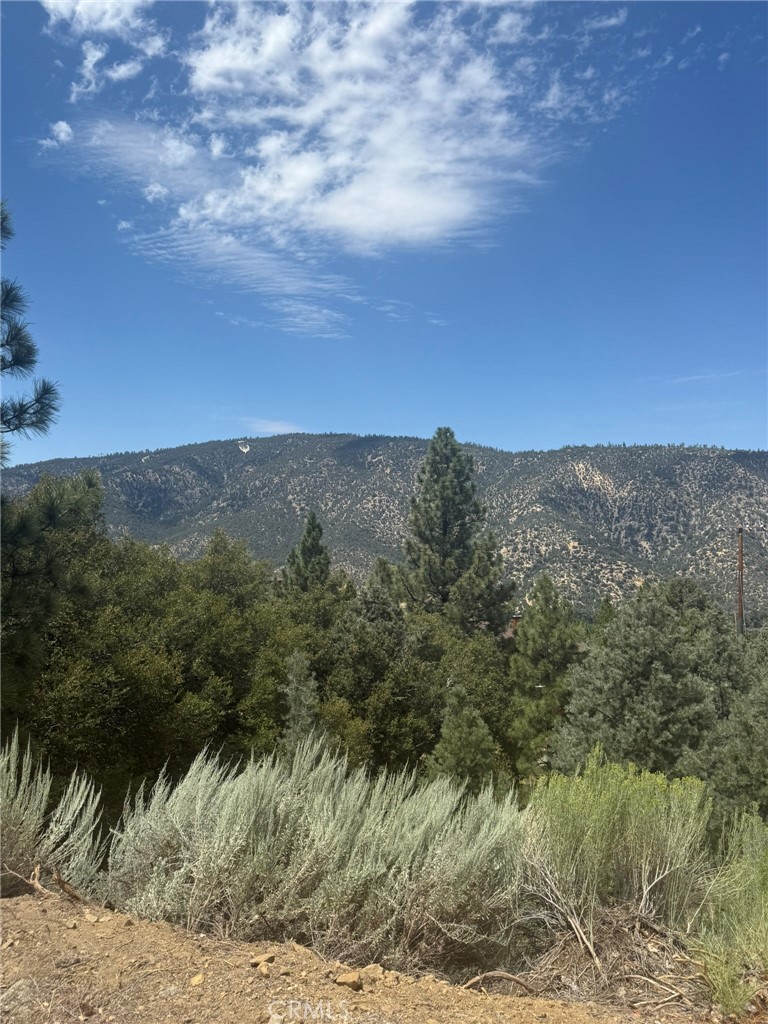 1824 Pioneer Way, Pine Mountain Club, CA 93222 — photo 1