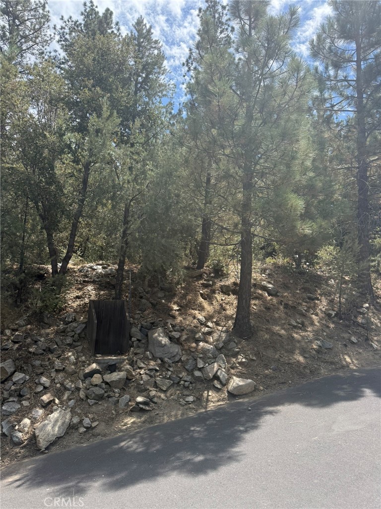 16012 Zurich Way, Pine Mountain Club, CA 93222 — photo 1