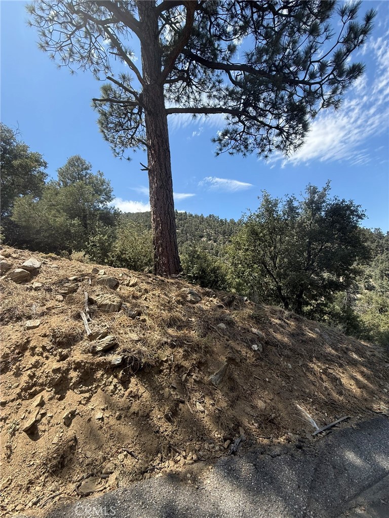 1525 Banff, Pine Mountain Club, CA 93222 — photo 1