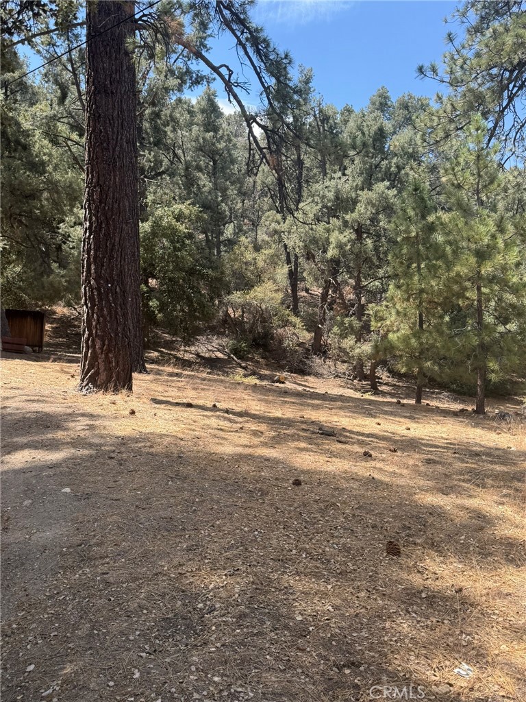2019 Freeman, Pine Mountain Club, CA 93222 — photo 1