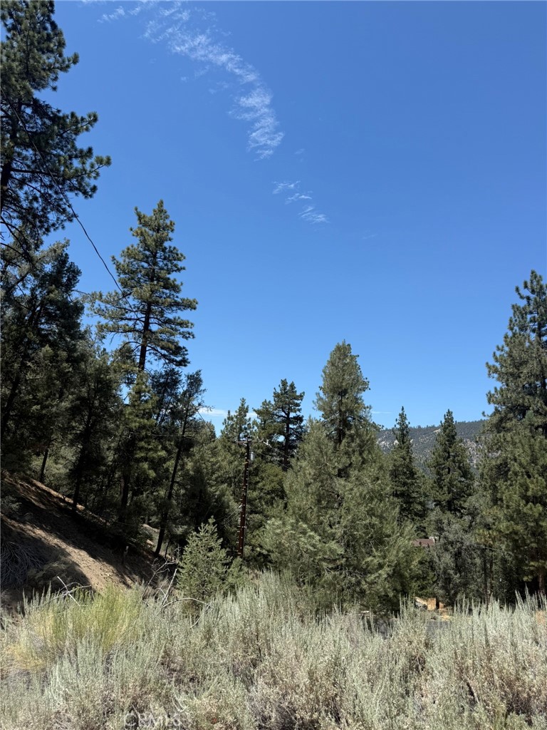 1912 Symonds, Pine Mountain Club, CA 93222 — photo 1