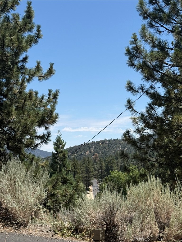 2413 Cedarwood Drive, Pine Mountain Club, CA 93222 — photo 1