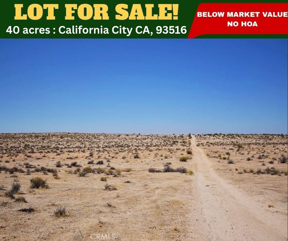 25000 Gordon Boulevard, Boron, CA 93516 — photo 1