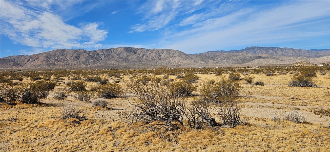 800 Datura Terrace Near, Lucerne Valley, CA 92356 — photo 1