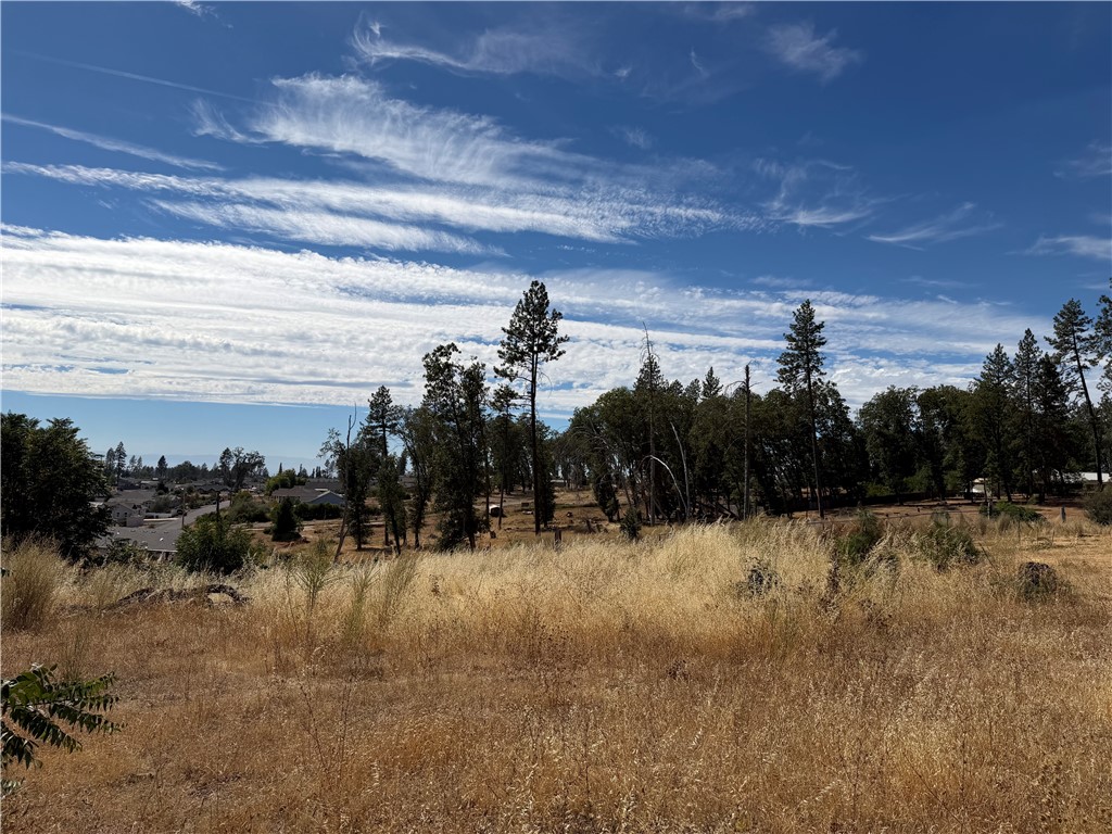 7809 Skyway, Paradise, CA 95969 — photo 1