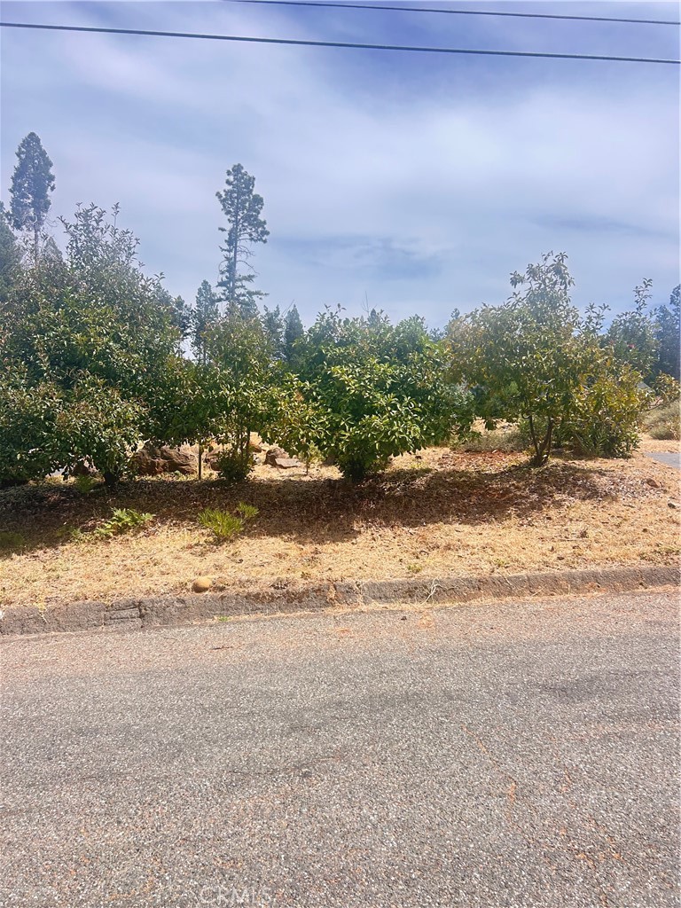 13837 Ferguson, Magalia, CA 95954 — photo 1