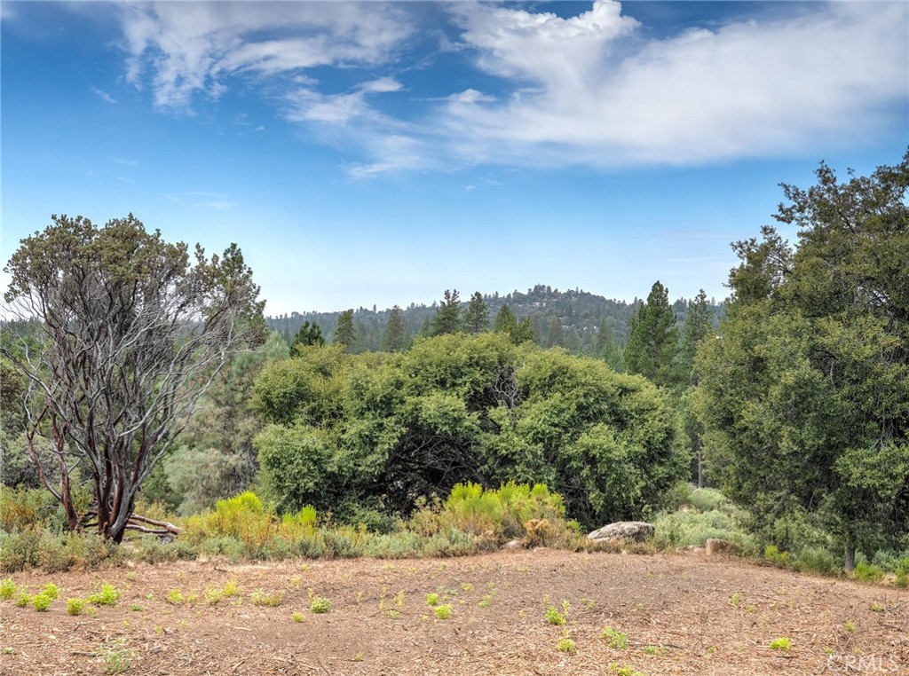 1539001 Vista Lago, Mariposa, CA 95338 — photo 1