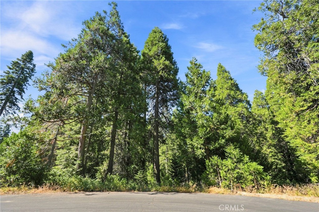 0 Foxglove Lane, Shaver Lake, CA 93664 — photo 1
