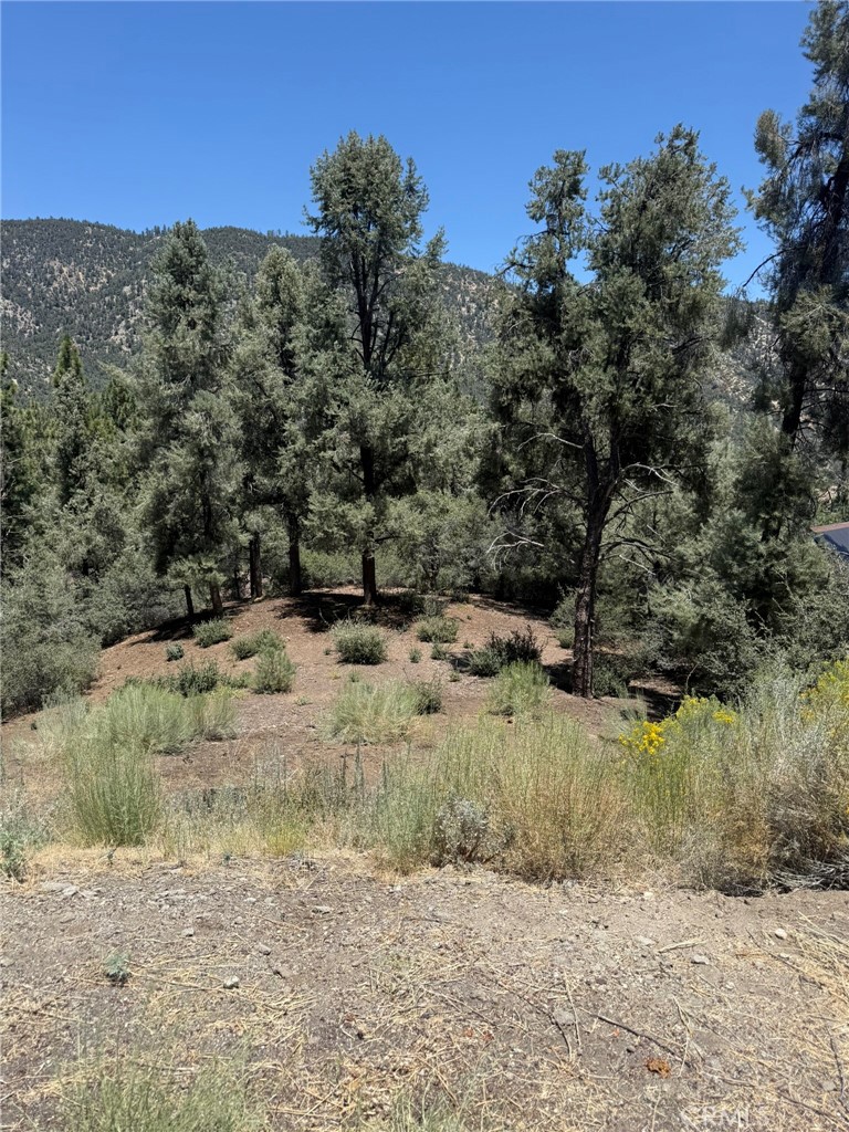 2424 Cedarwood, Pine Mountain Club, CA 93222 — photo 1