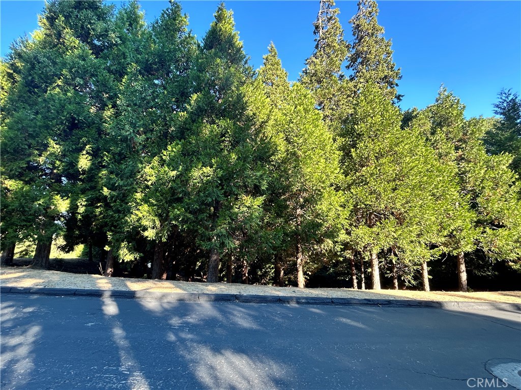 28980 White Dove Lane, Lake Arrowhead, CA 92352 — photo 1