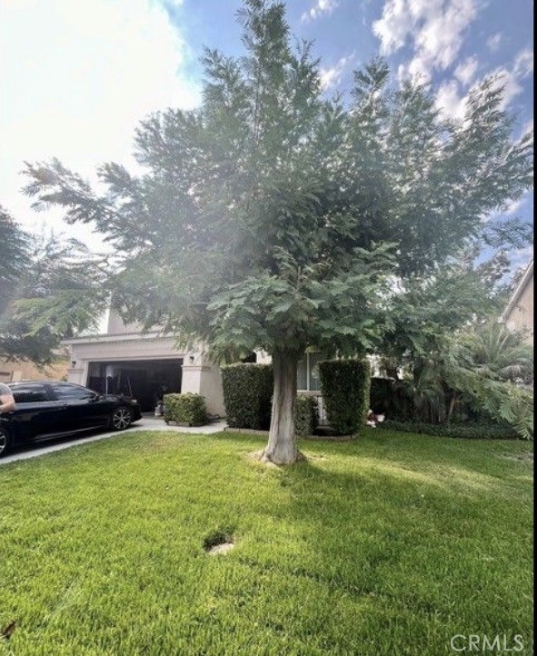 1166 Sykes Drive, San Jacinto, CA 92582 — photo 1