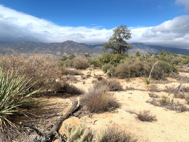 368 Palm Canyon Drive, Mountain Center, CA 92561 — photo 1