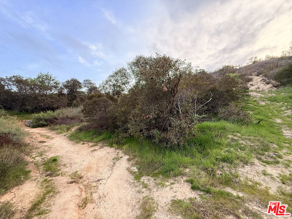9745 N Estaban Way, Tujunga, CA 91042 — photo 1
