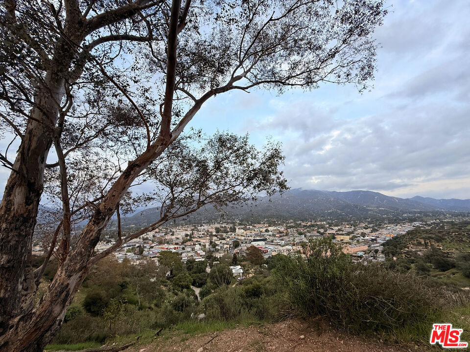 9735 N Estaban Way, Tujunga, CA 91042 — photo 1