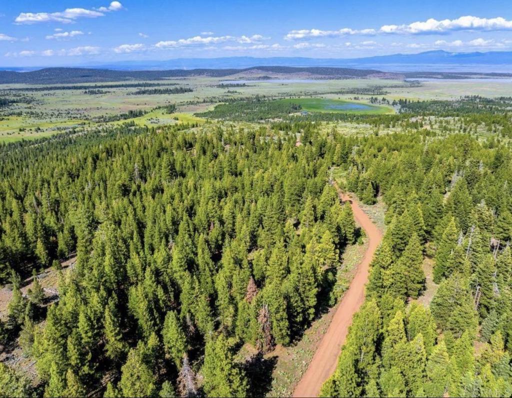 123 Glacier Dr Glacier Dr Alturas, CA 96101 Road, Alturas, CA 96101 — photo 1