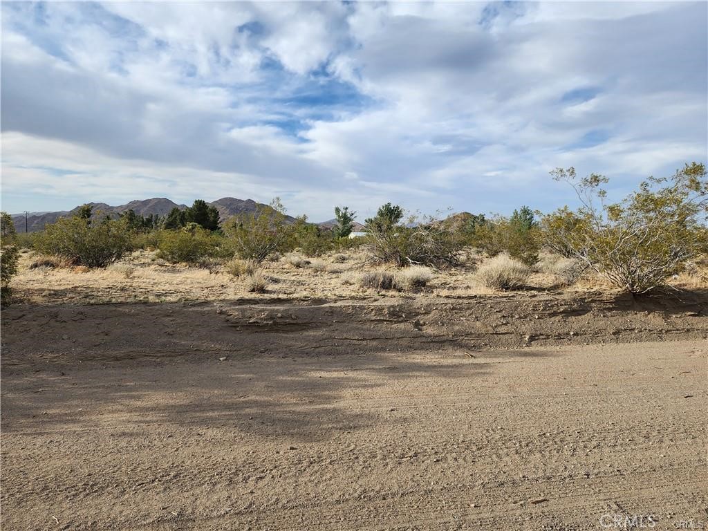 502 Morningside Street, Lucerne Valley, CA 92356 — photo 1