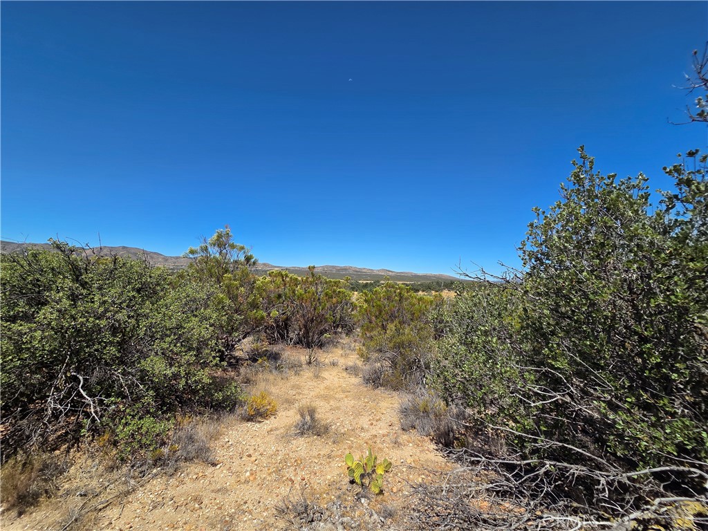 1 Terwilliger, Anza, CA 92539 — photo 1