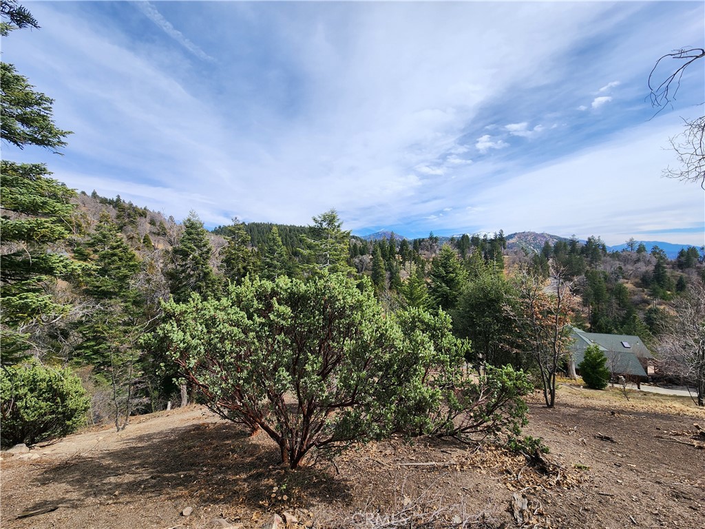 30914 Old City Creek Road, Running Springs, CA 92382 — photo 1