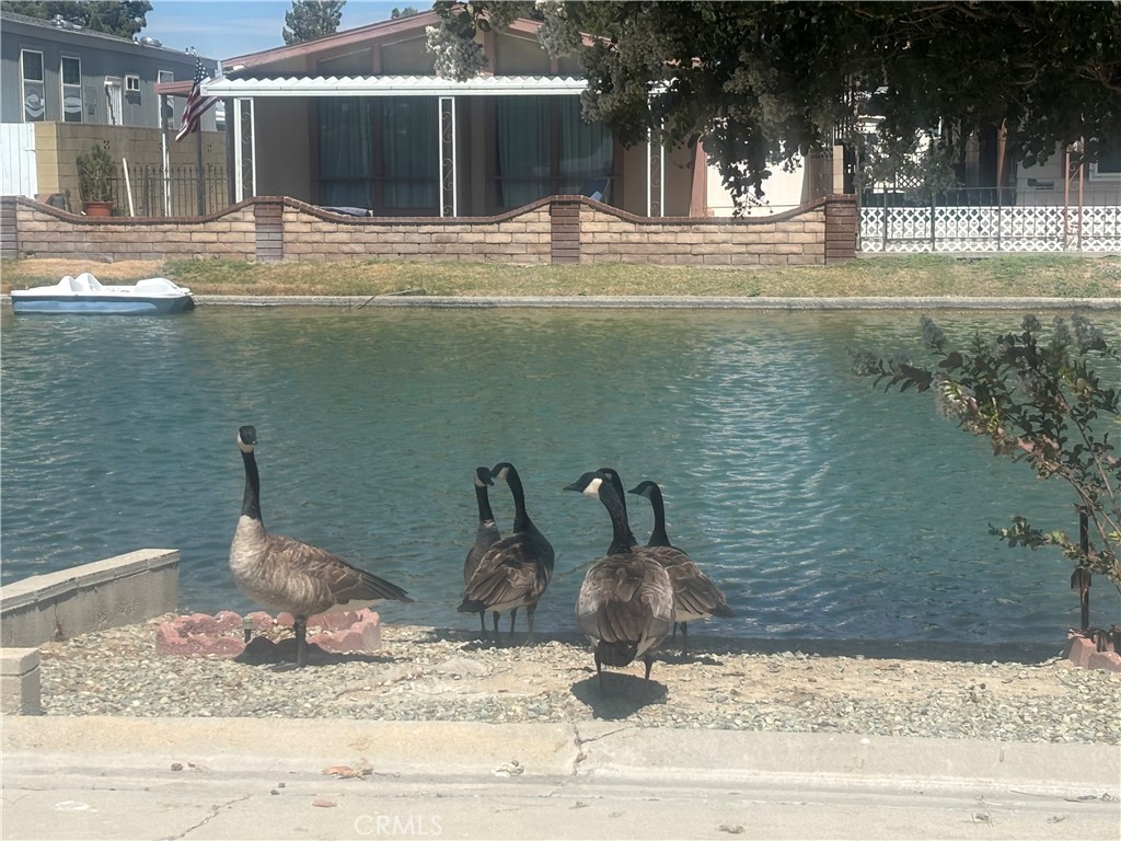 48303 20th Street W 85, Lancaster, CA 93534 — photo 1