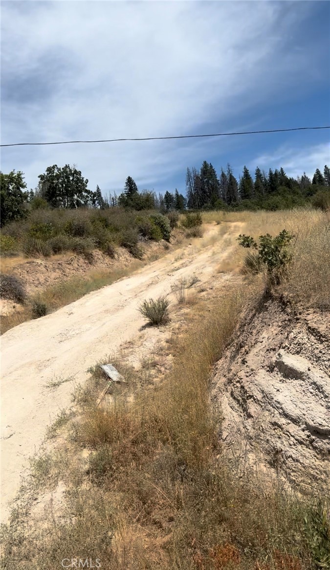 1651 Summit Creek Road, Hayfork, CA 96041 — photo 1