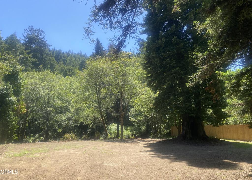 23780 De Haven Creek Road, Westport, CA 95488 — photo 1