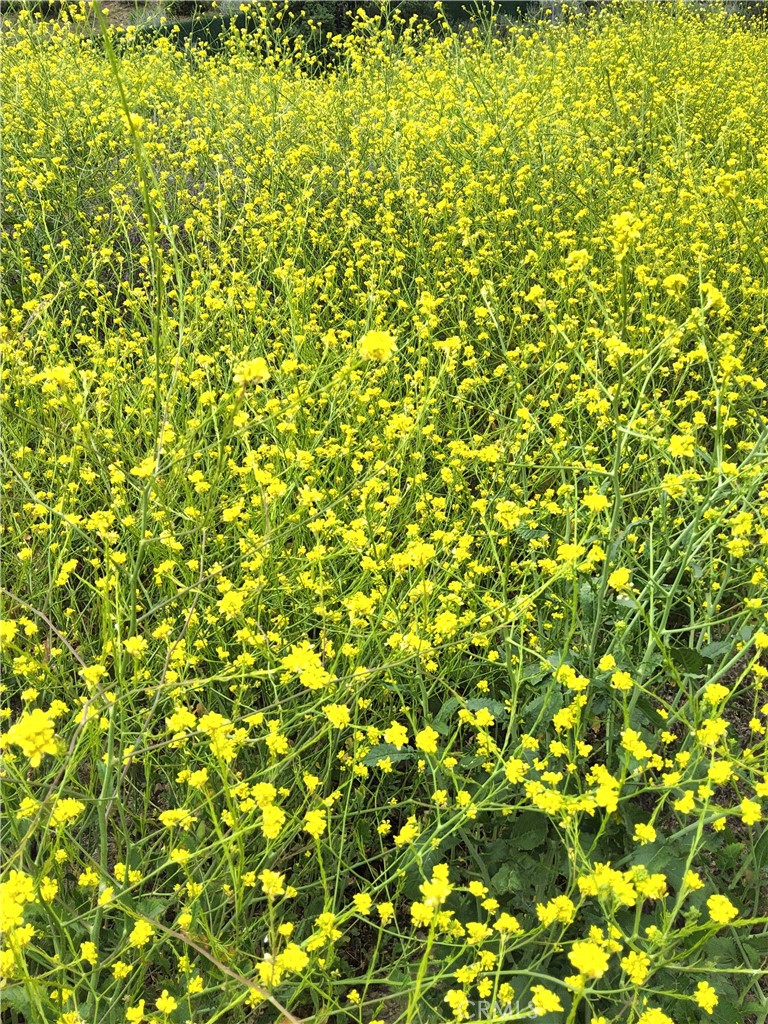 0 0, Val Verde, CA 91384 — photo 1