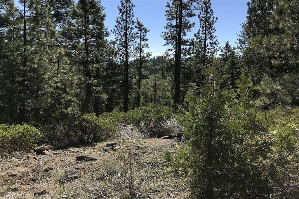0 Falcon Road, California Pines, CA 96101 — photo 1