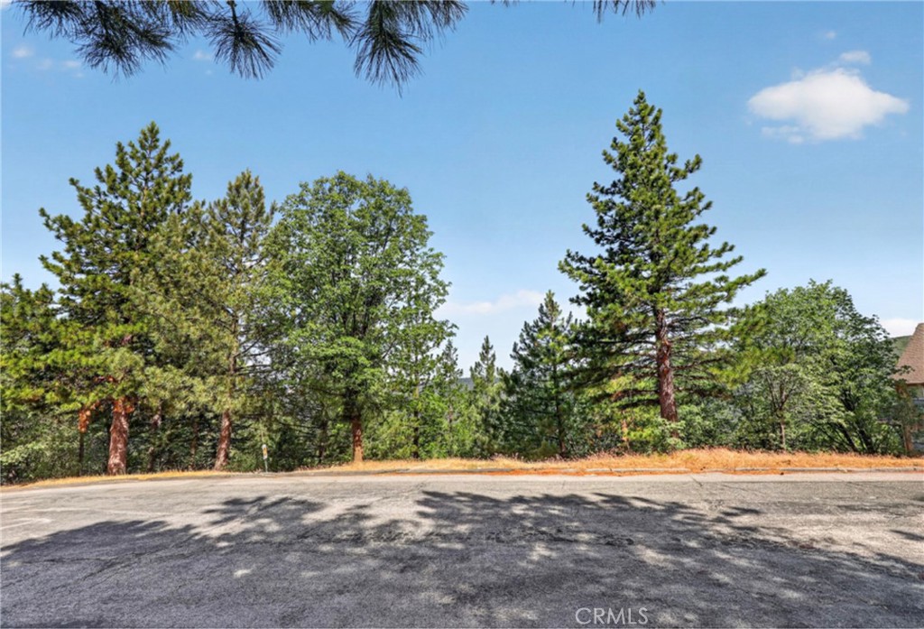 30308 Leprechaun, Running Springs, CA 92382 — photo 1