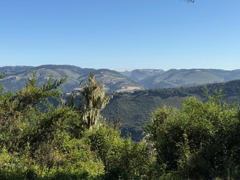 6 Rancho San Carlos (Lot E10) Road, Carmel, CA 93923 — photo 1
