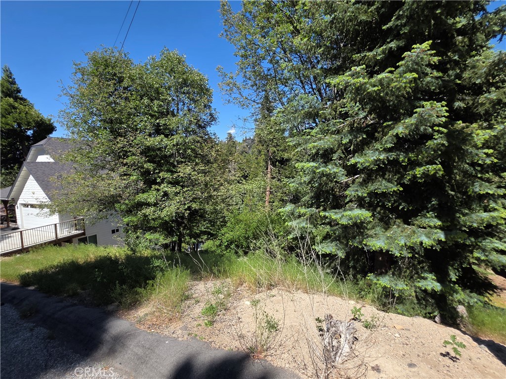 0 Shenandoah Drive, Lake Arrowhead, CA 92352 — photo 1