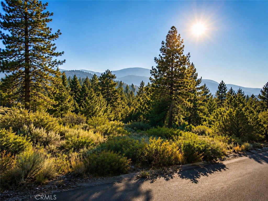 15120 acacia, Pine Mountain Club, CA 93222 — photo 1