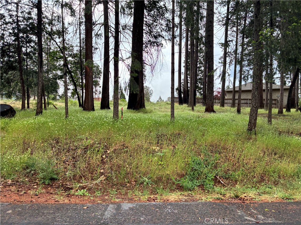 0 Pineland Circle, Magalia, CA 95954 — photo 1