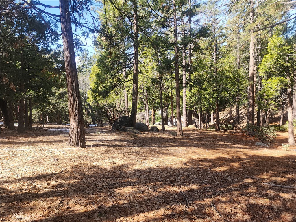 52547 Pine Cove, Idyllwild, CA 92549 — photo 1