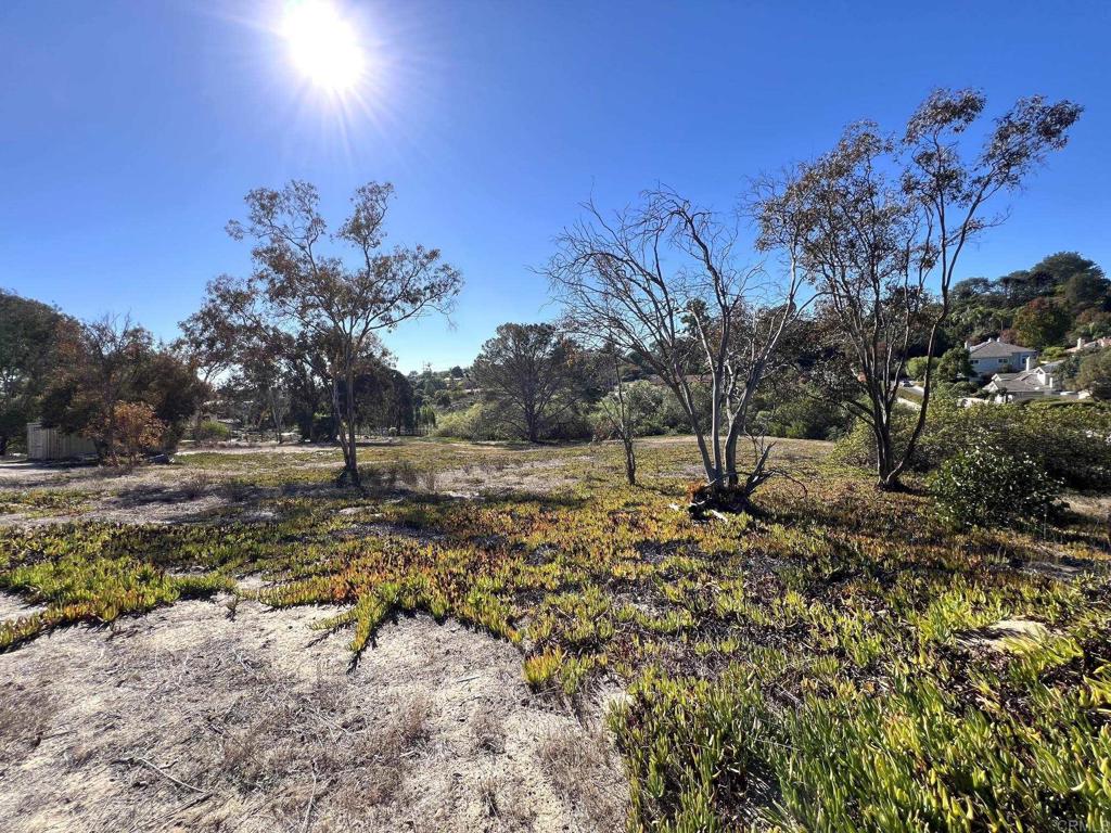 Mays Hollow Lane, Encinitas, CA 92024 — photo 1