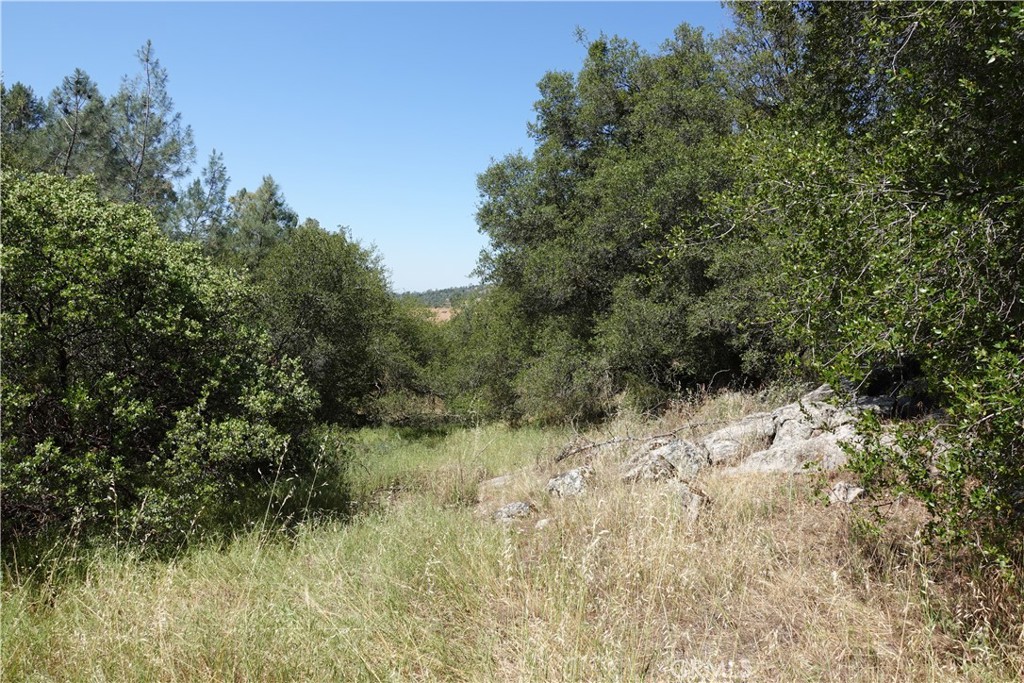0 RUNNING DEER WAY, Coarsegold, CA 93614 — photo 1