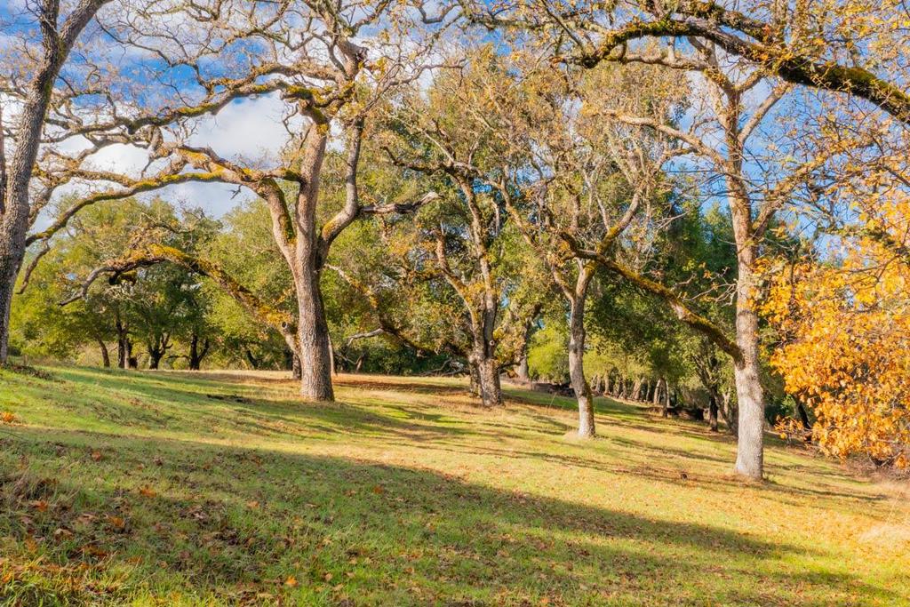 36 Arroyo Sequoia (Lot 117), Carmel, CA 93923 — photo 1